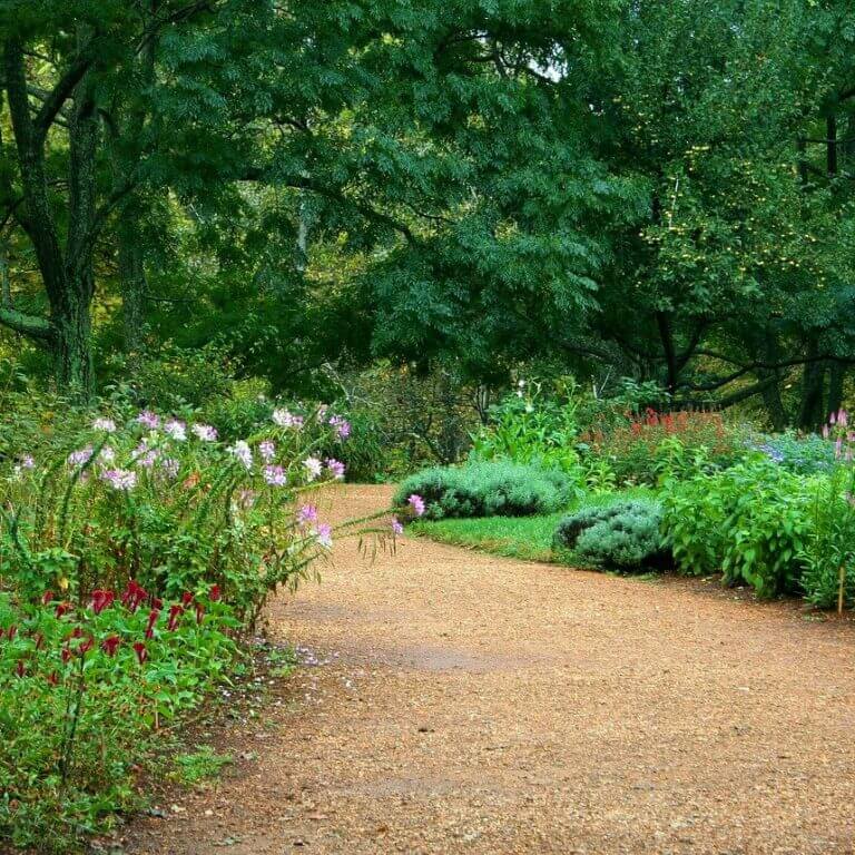 garden-path-59151_1280